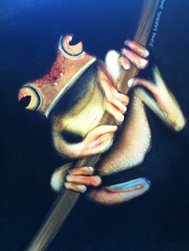 Frog painting by Jamie Barthel