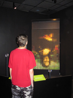 A visitor looking at Woodstock NY artist Devorah Sperber's installation in The Brain Exhibit at the American Museum of Natural History. 