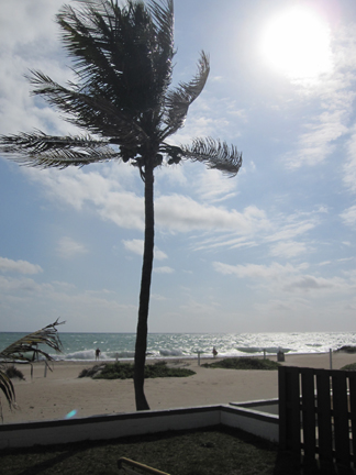 View outside the apartment we rented in Pompano beach, Florida