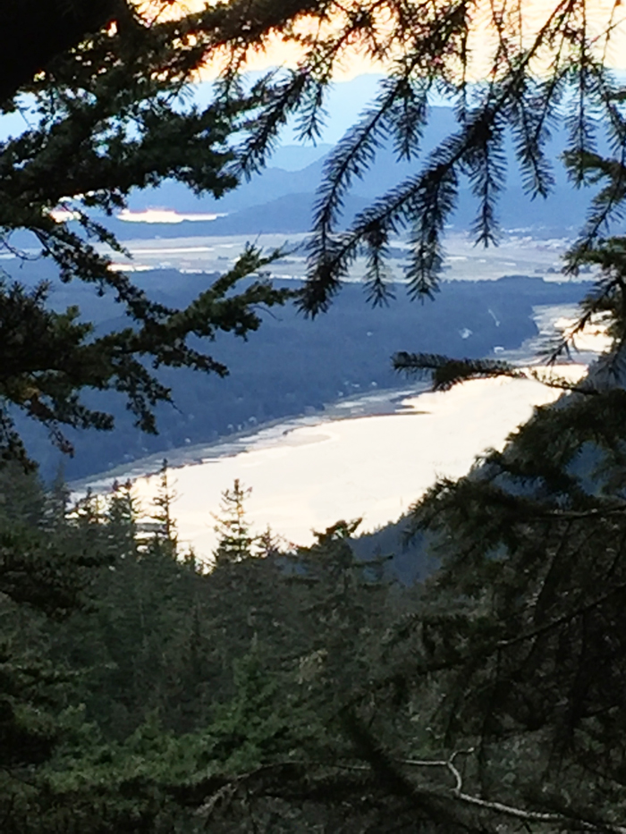 Gastineau Channel, Douglas Island and Silver Bow Basin