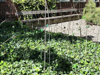 Christian Boltanski Bells at Naguchi Museum