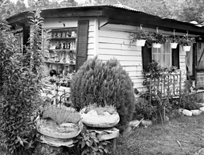 Leona Stokes’ Garden, Farrell, Mississippi, 2001