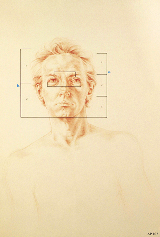 Anthony Panzera, AP 102, from The Leonardo Series, n.d, Sanguine pencil on buff paper, 