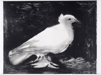 Dove by Pablo Picasso