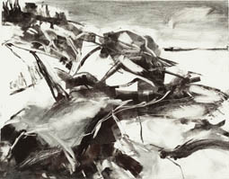 Paula Nelson "Coastal View" monotype