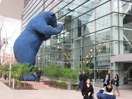 Bear looking in building