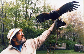 Daniel Smythe with Hawk